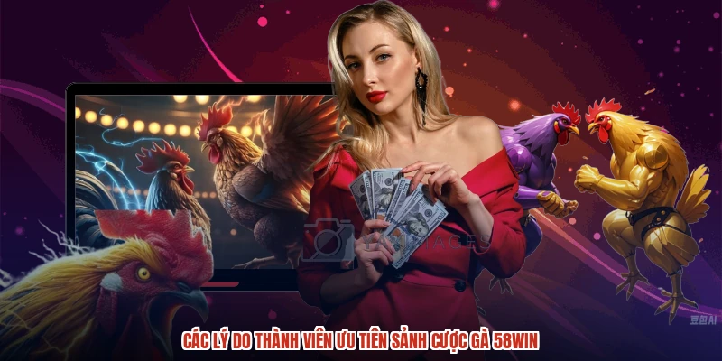 Các lý do thành viên ưu tiên sảnh cược gà 58WIN
