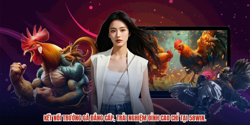 Kết nối trường gà đẳng cấp, trải nghiệm đỉnh cao chỉ tại 58WIN.