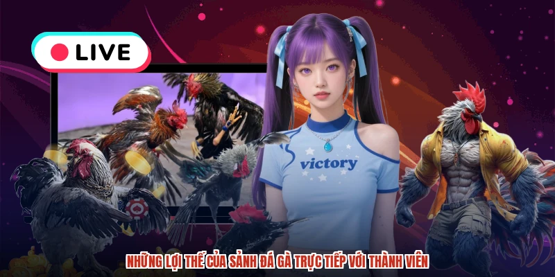 Những lợi thế của sảnh đá gà trực tiếp với thành viên