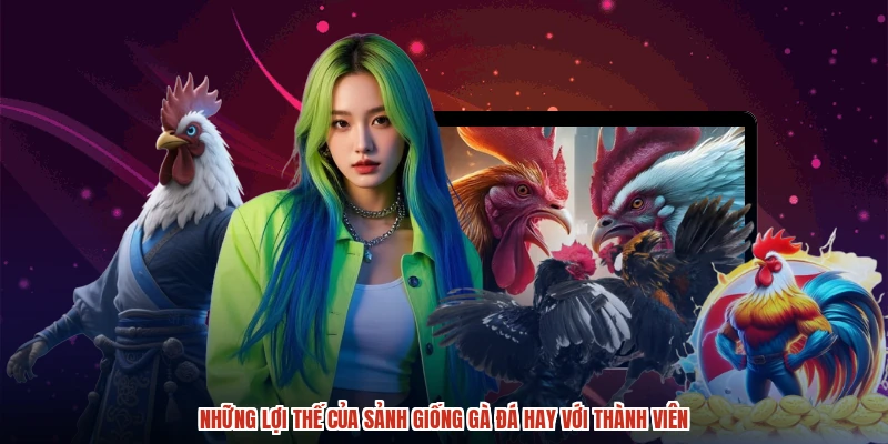 Những lợi thế của sảnh giống gà đá hay với thành viên
