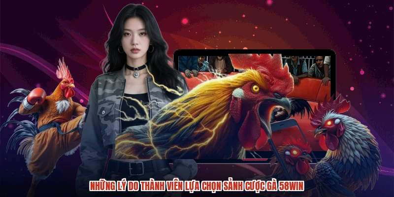 Những lý do thành viên lựa chọn sảnh cược gà 58WIN