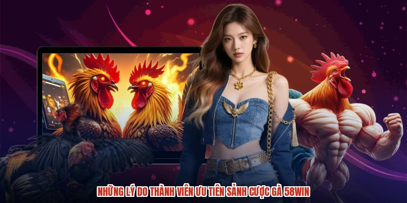 Những lý do thành viên ưu tiên sảnh cược gà 58WIN