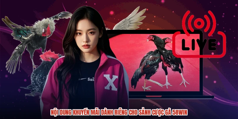 Nội dung khuyến mãi dành riêng cho sảnh cược gà 58WIN