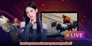 Xem Gà Chọi 58WIN: Những Quy Định Quan Trọng Cần Biết