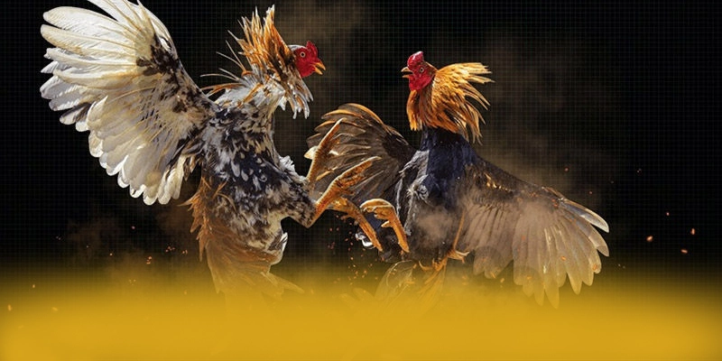 Chương trình thưởng giá trị lớn dành cho cộng đồng tại 8XBET